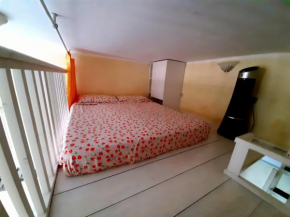 Flat Low cost